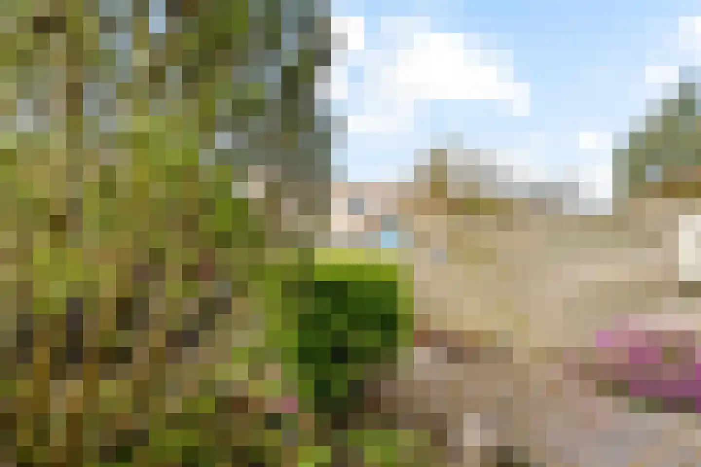 Smaragdhof 24 Almere thumbnail 34