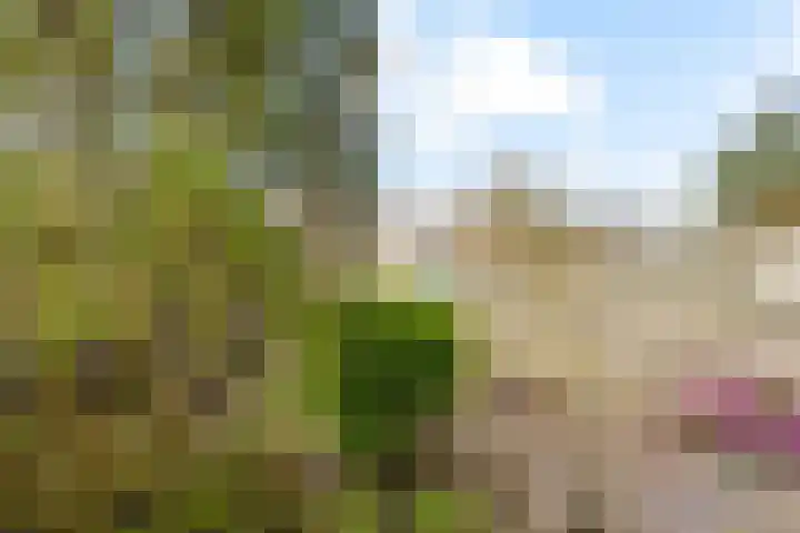 Smaragdhof 24 Almere thumbnail 34