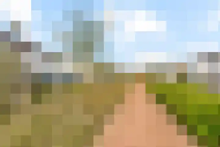 Smaragdhof 24 Almere thumbnail 45