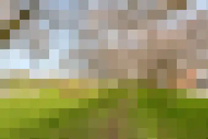 Smaragdhof 24 Almere thumbnail 46