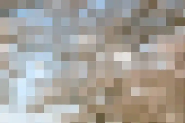 Smaragdhof 24 Almere thumbnail 47