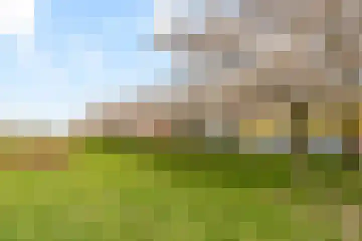 Smaragdhof 24 Almere thumbnail 48