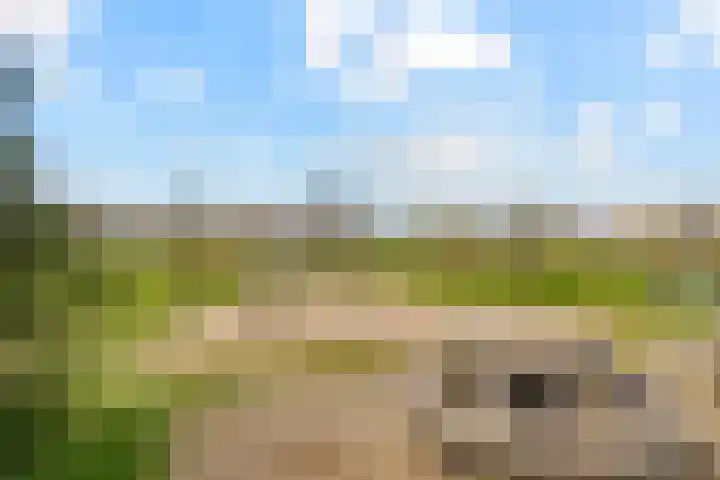 Smaragdhof 24 Almere thumbnail 49