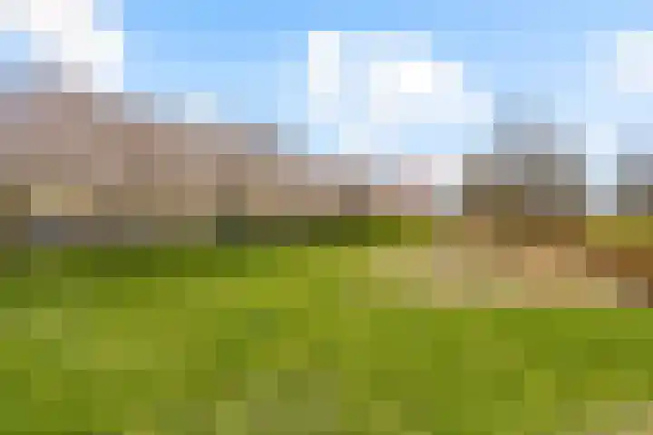 Smaragdhof 24 Almere thumbnail 50