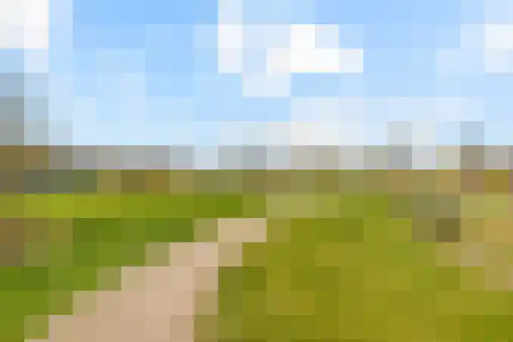 Smaragdhof 24 Almere thumbnail 51