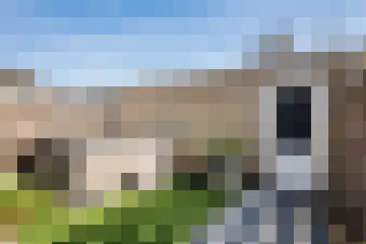 Smaragdhof 3 IJsselstein thumbnail 23