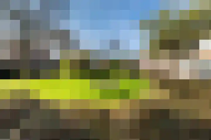 Smaragdhof 3 IJsselstein thumbnail 43
