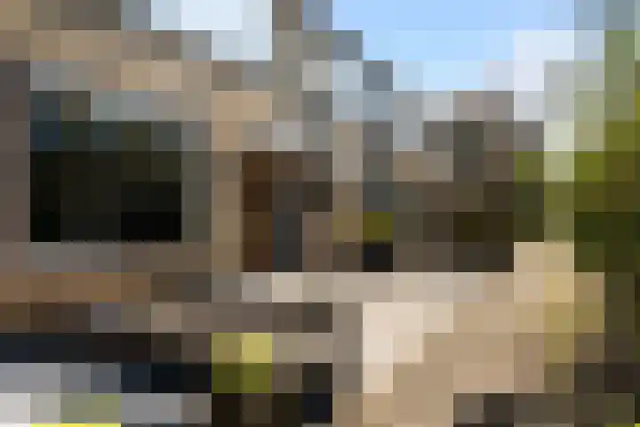 Smaragdhof 3 IJsselstein thumbnail 5