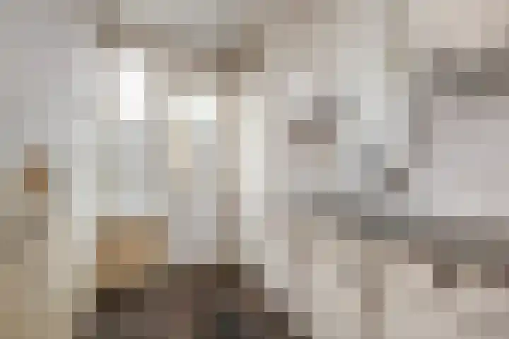 Smaragdhof 4 2 Utrecht thumbnail 10