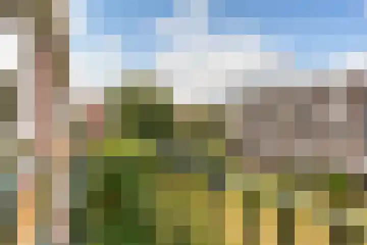 Smaragdhof 4 2 Utrecht thumbnail 13