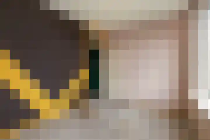Smaragdhof 4 2 Utrecht thumbnail 17