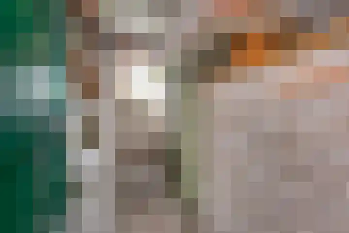 Smaragdhof 4 2 Utrecht thumbnail 21