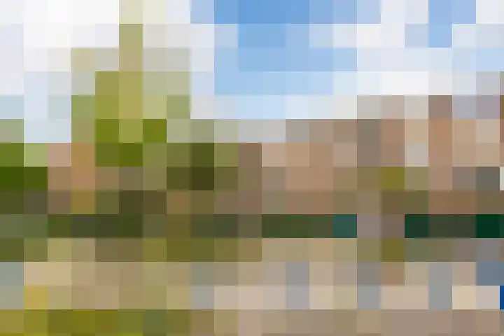 Smaragdhof 4 2 Utrecht thumbnail 22
