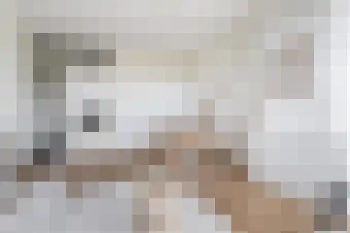 Smaragdhof 7 1 Utrecht thumbnail 11