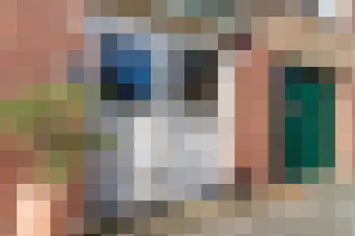 Smaragdhof 7 1 Utrecht thumbnail 6