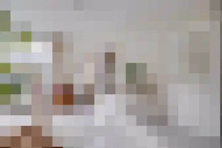 Smaragdhof 9 2 Utrecht thumbnail 10