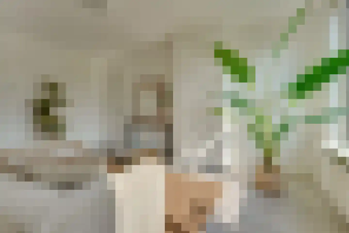 Smaragdhof 9 2 Utrecht thumbnail 17