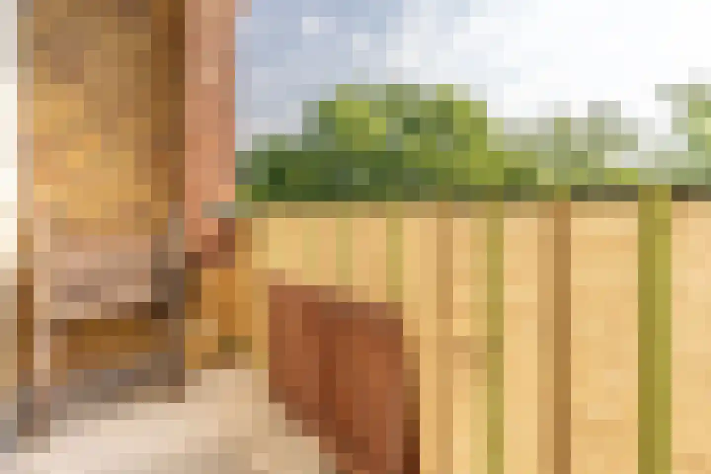 Smaragdhof 9 2 Utrecht thumbnail 28