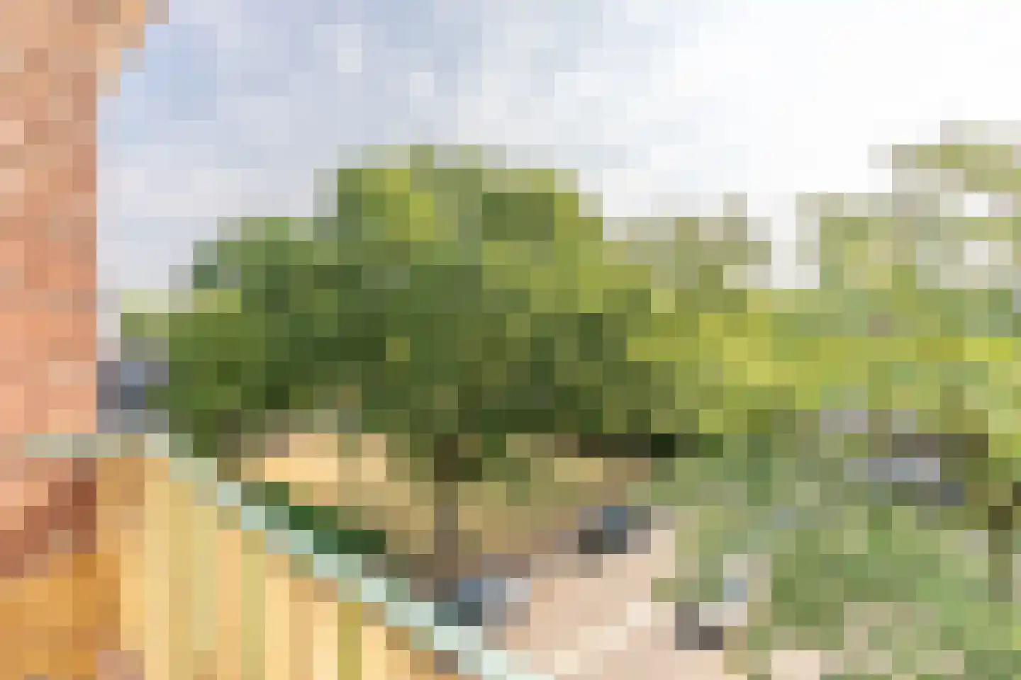 Smaragdhof 9 2 Utrecht thumbnail 29