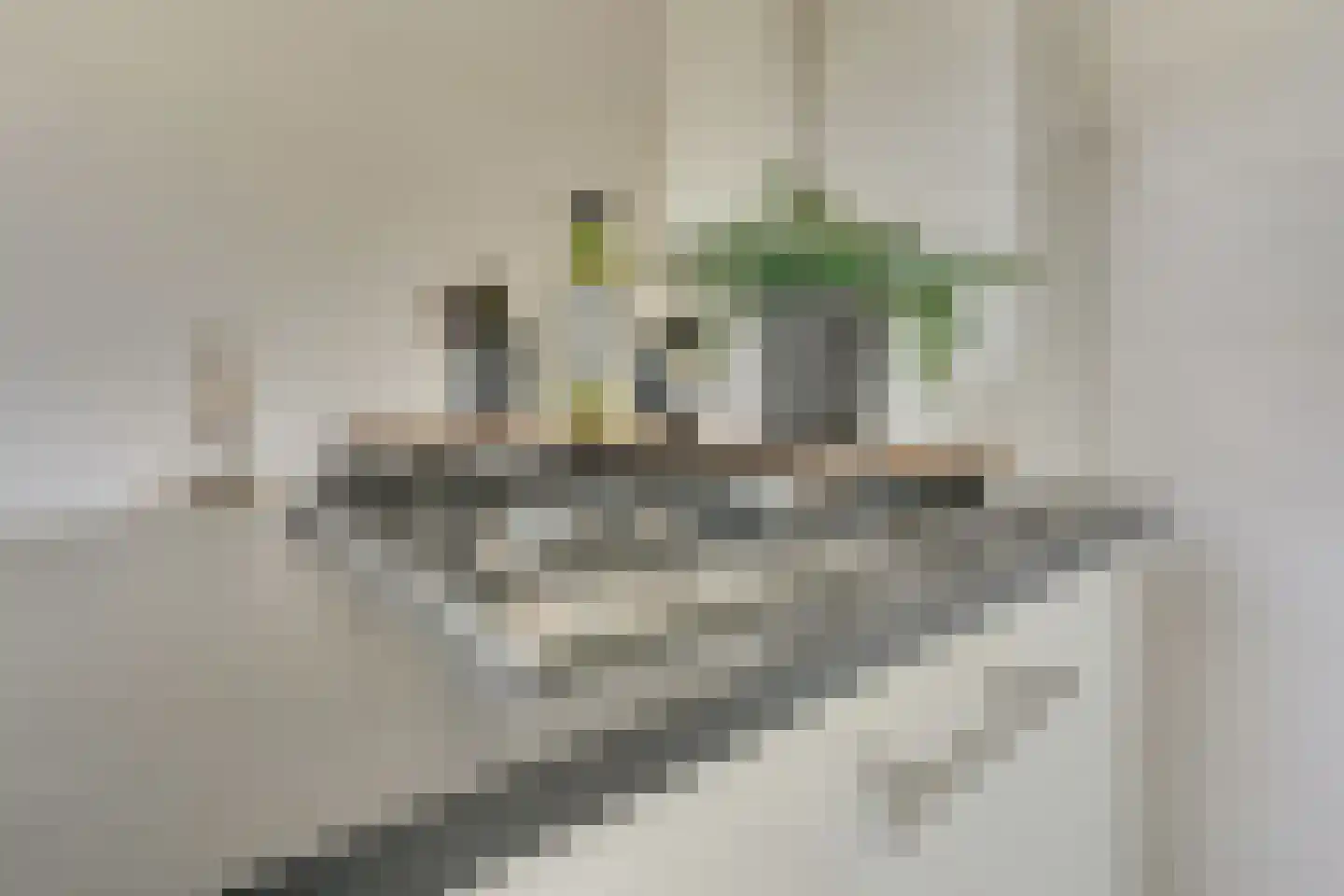 Smaragdhof 9 2 Utrecht thumbnail 39