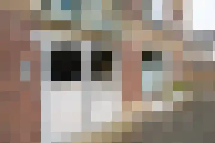 Smaragdhof 9 2 Utrecht thumbnail 43