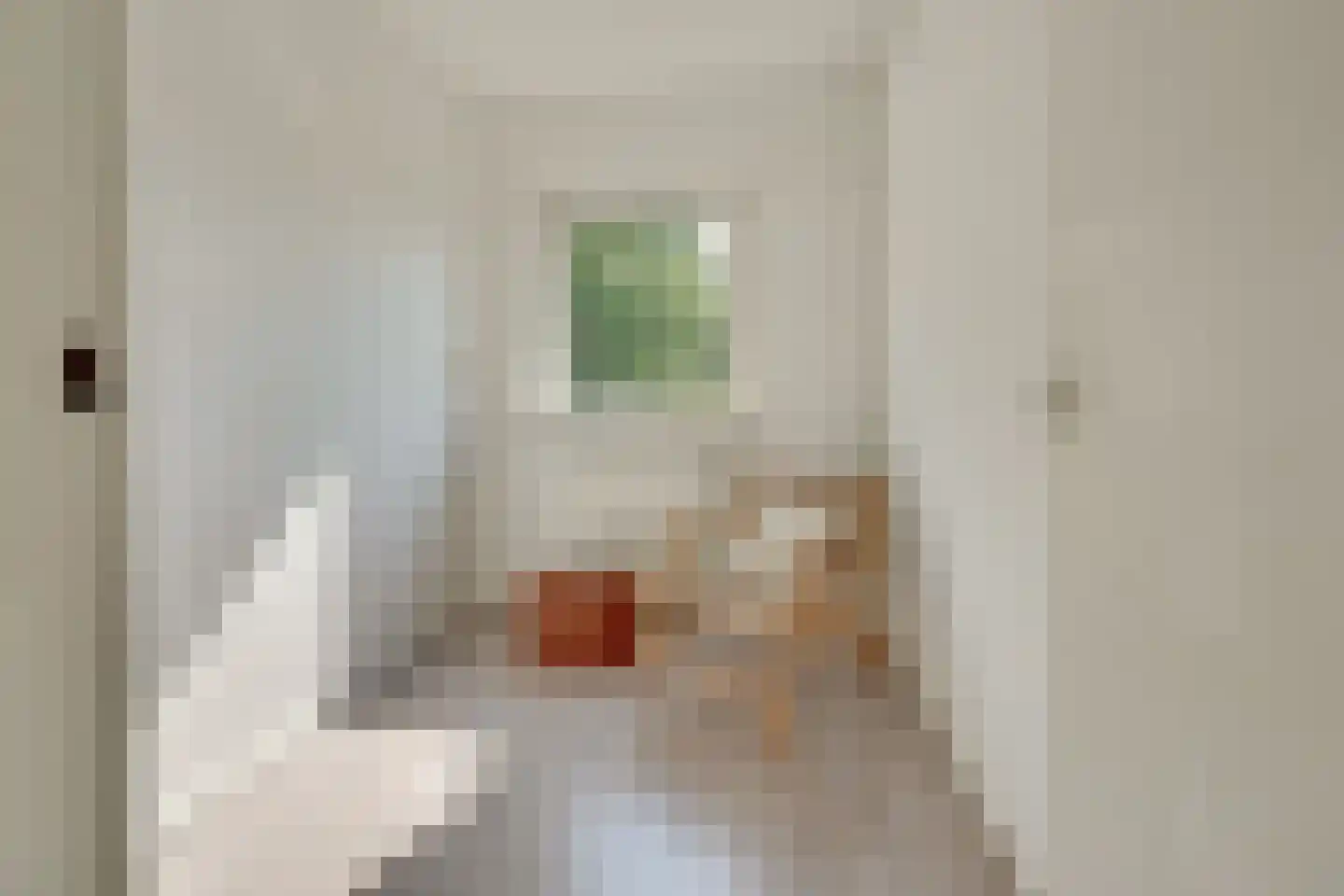 Smaragdhof 9 2 Utrecht thumbnail 46