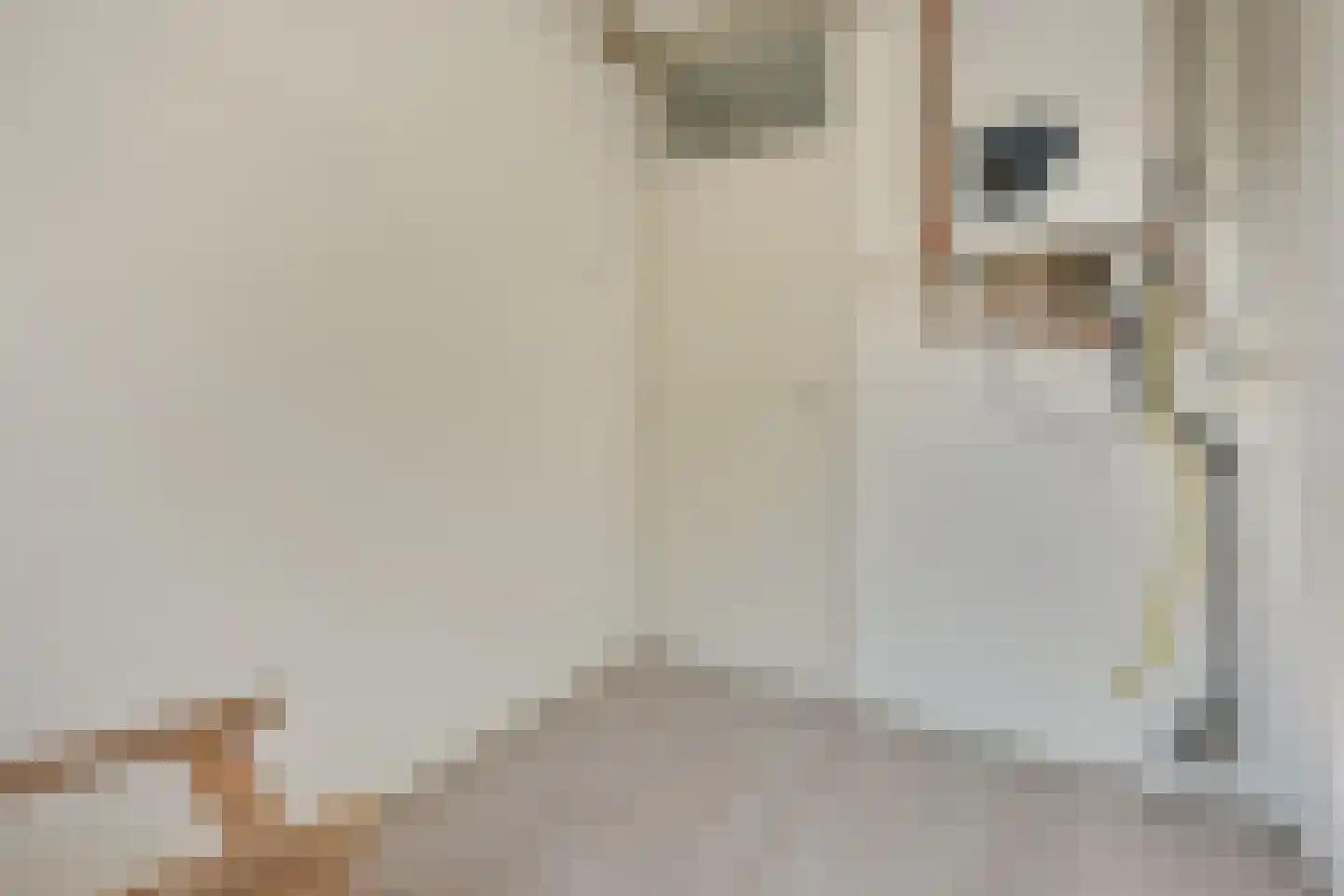 Smaragdhof 9 2 Utrecht thumbnail 49
