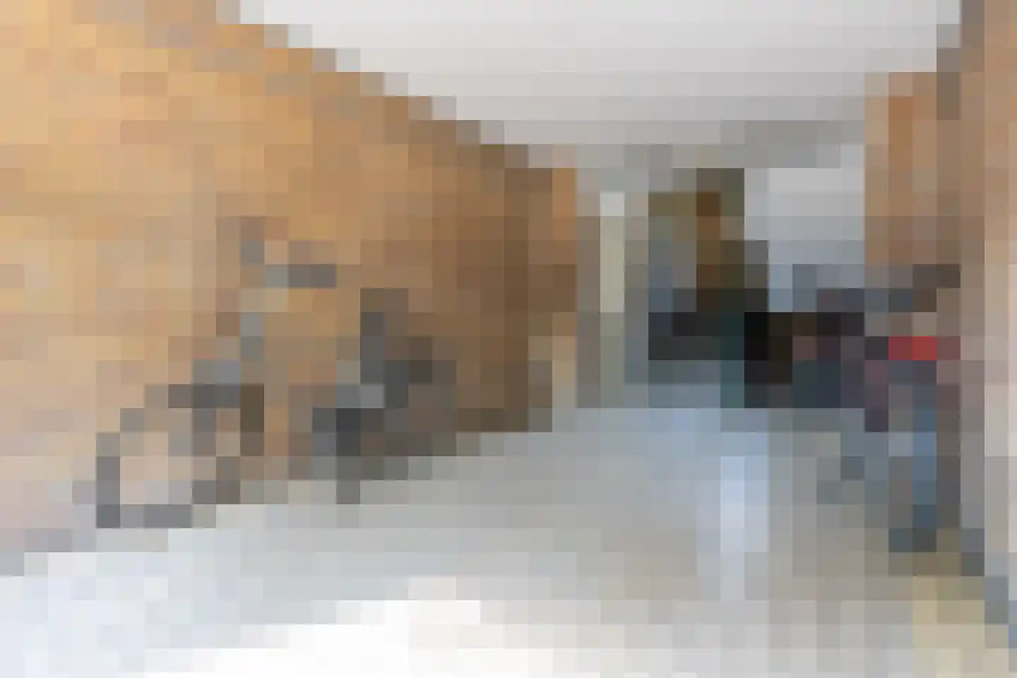 Smaragdhof 9 2 Utrecht thumbnail 7
