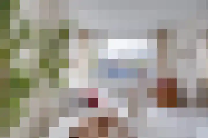 Smaragdhof 9 2 Utrecht thumbnail 8