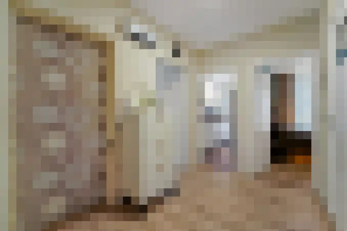Smaragdhorst 159 Den Haag thumbnail 21