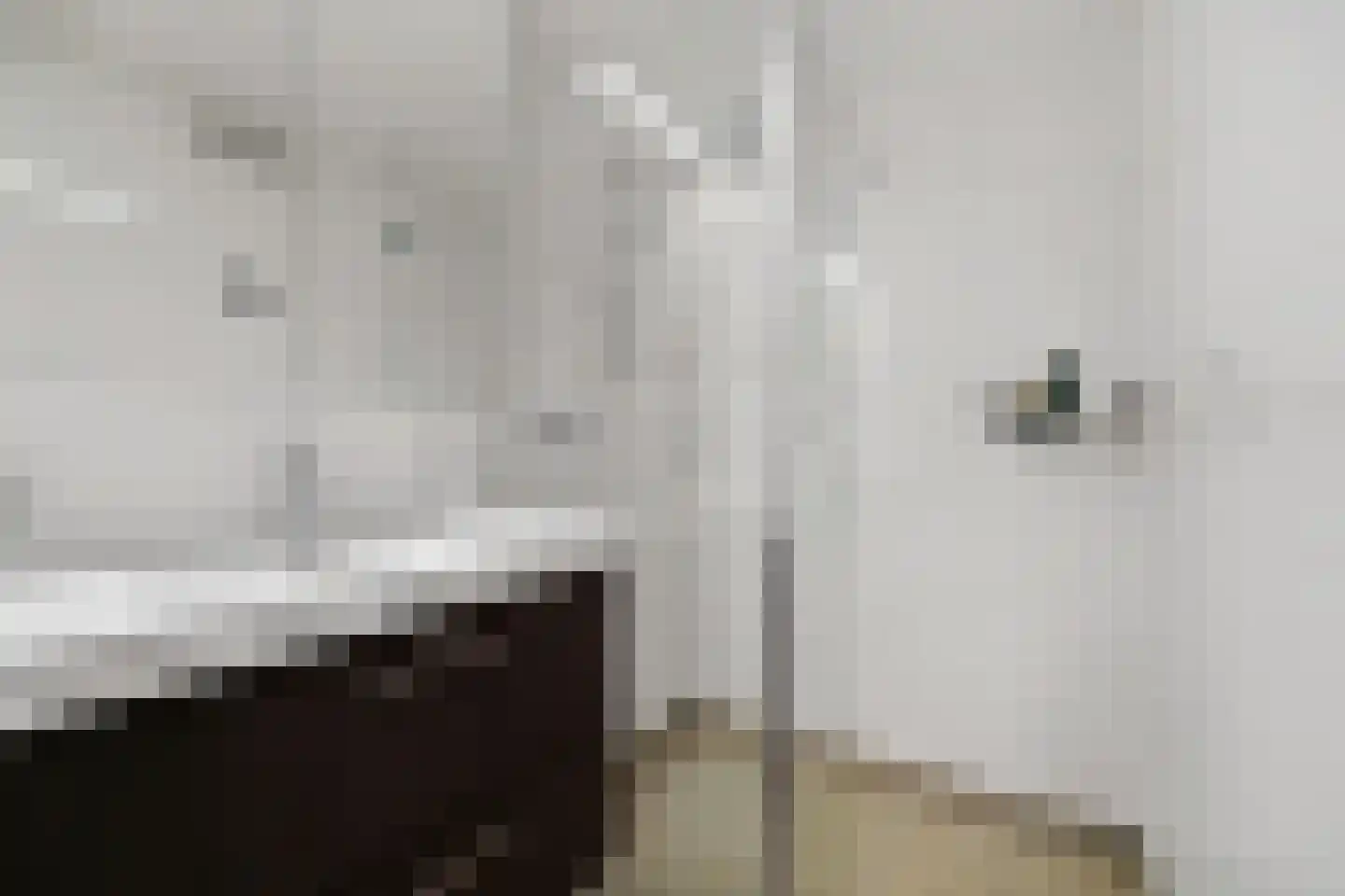 Smaragdhorst 159 Den Haag thumbnail 5