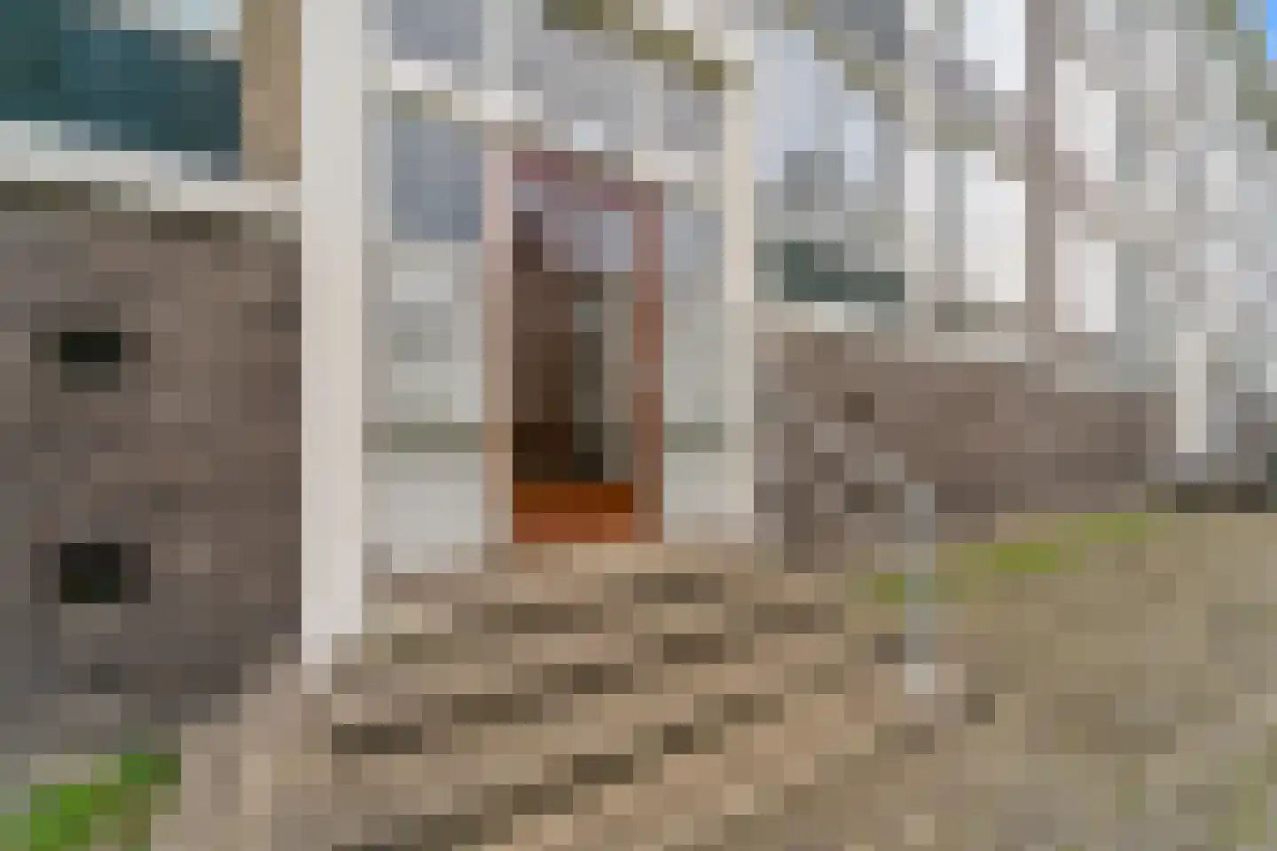 Smaragdhorst 159 Den Haag thumbnail 8