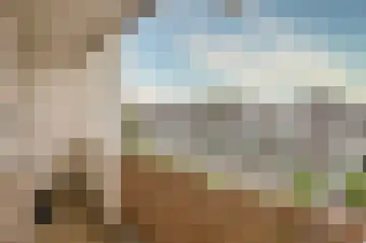 Smaragdhorst 209 Den Haag thumbnail 17