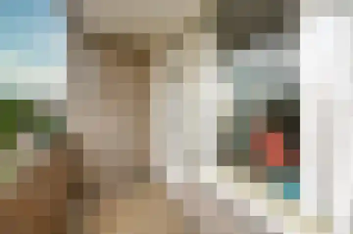 Smaragdhorst 209 Den Haag thumbnail 21