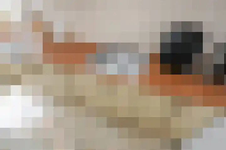 Smaragdhorst 209 Den Haag thumbnail 26