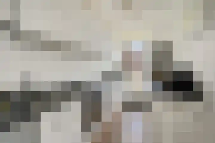 Smaragdhorst 25 Den Haag thumbnail 18