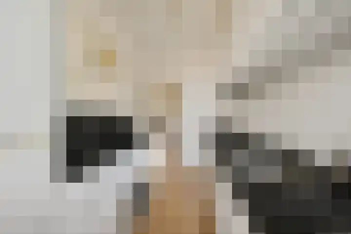 Smaragdhorst 25 Den Haag thumbnail 19