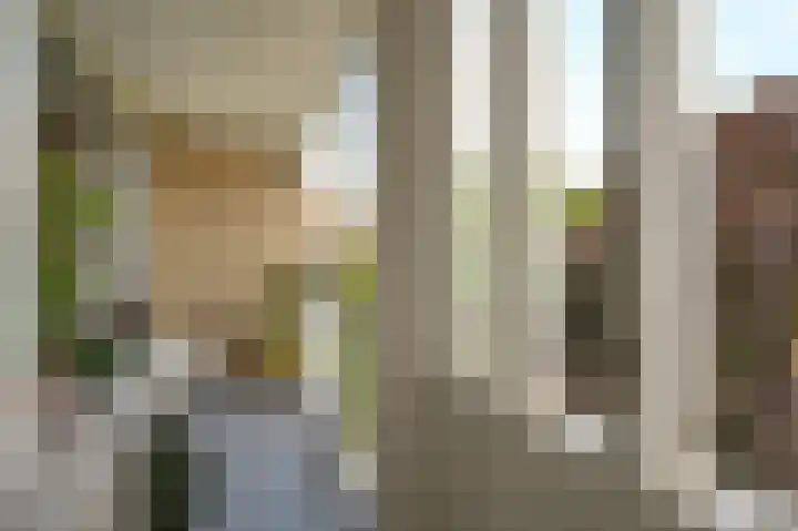 Smaragdhorst 25 Den Haag thumbnail 20
