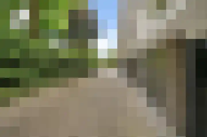 Smaragdhorst 25 Den Haag thumbnail 26