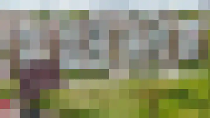 Smaragdhorst 25 Den Haag thumbnail 28