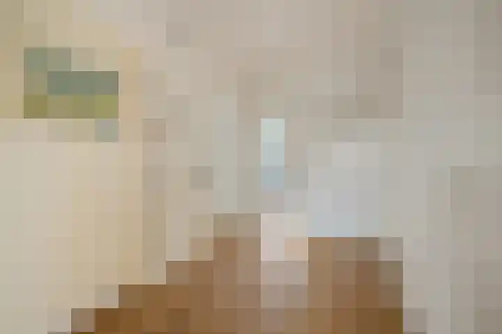 Smaragdhorst 25 Den Haag thumbnail 8