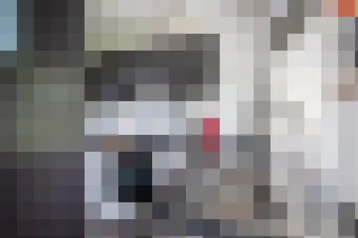 Smaragdhorst 251 Den Haag thumbnail 10
