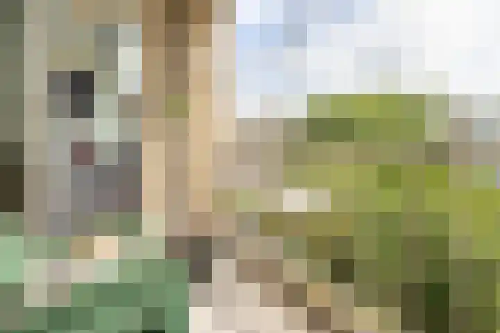 Smaragdhorst 251 Den Haag thumbnail 14