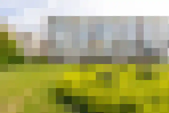 Smaragdhorst 251 Den Haag thumbnail 17