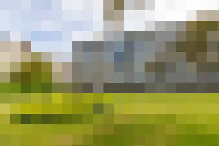 Smaragdhorst 251 Den Haag thumbnail 20