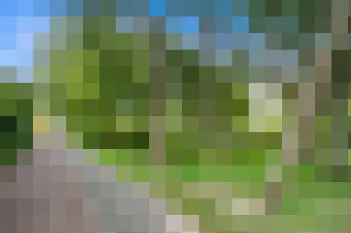 Smaragdhorst 259 Den Haag thumbnail 23