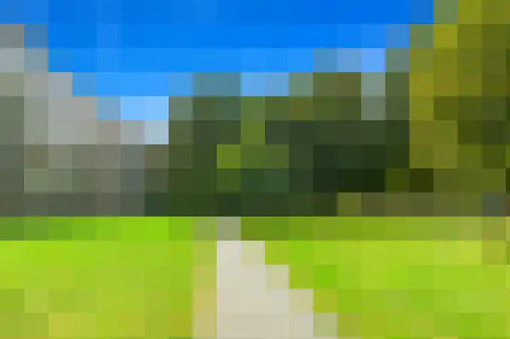 Smaragdhorst 259 Den Haag thumbnail 24