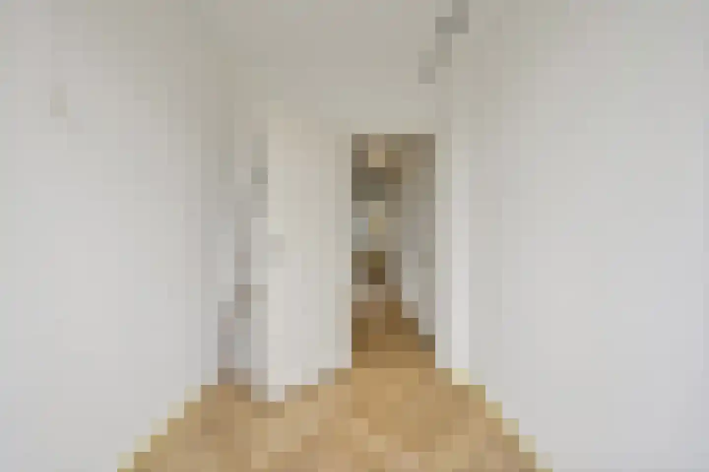 Smaragdhorst 267 Den Haag thumbnail 27