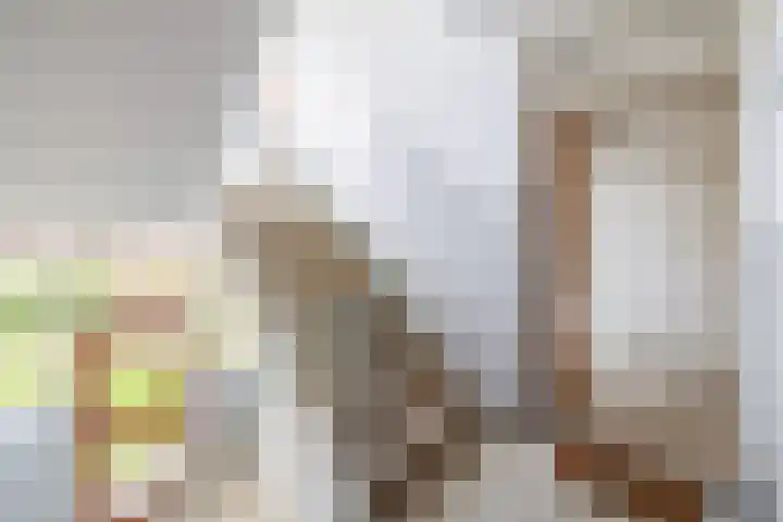Smaragdhorst 273 Den Haag thumbnail 10