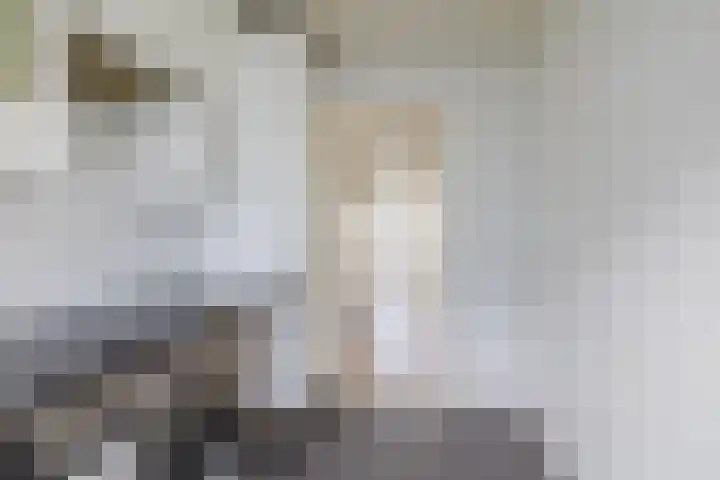 Smaragdhorst 273 Den Haag thumbnail 23